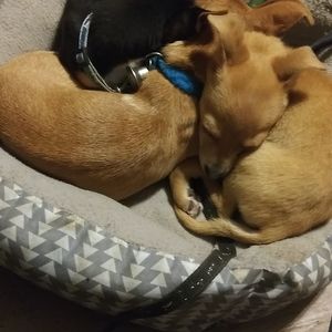 Meet your Posher, Martina